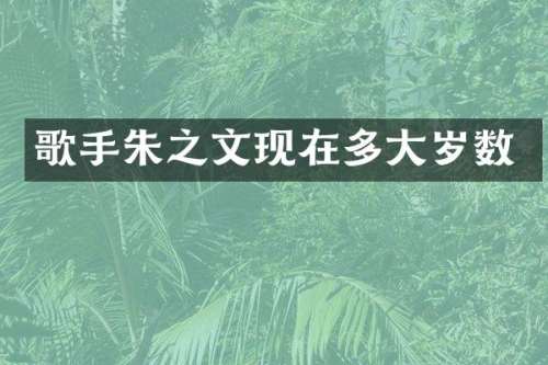 歌手朱之文现在多大岁数