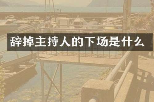 辞掉主持人的下场是什么