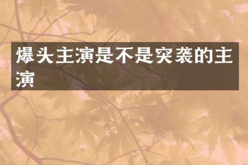 爆头主演是不是突袭的主演
