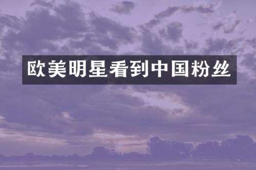 欧美明星看到中国粉丝