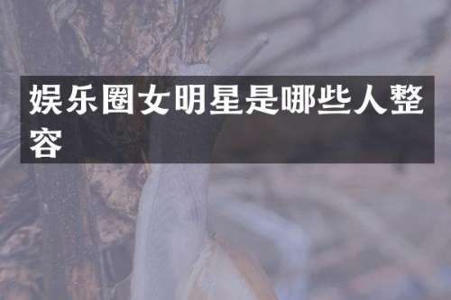 娱乐圈女明星是哪些人整容