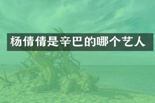 倩是辛巴的哪个艺人