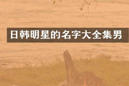 日韩明星的名字大全集男