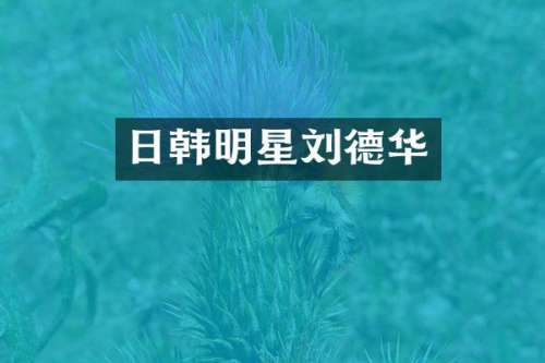 日韩明星刘德华