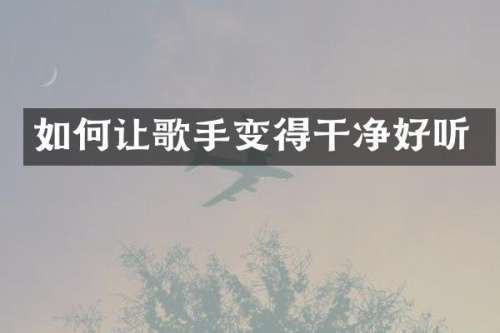 如何让歌手变得干净好听
