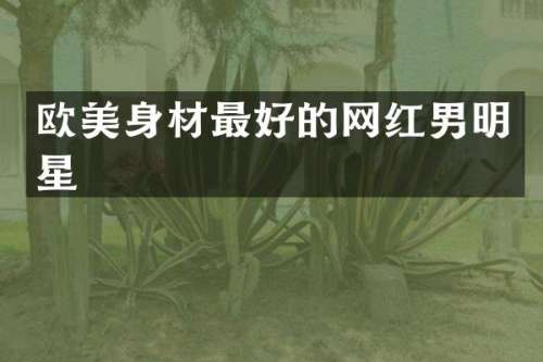 欧美身材最好的网红男明星