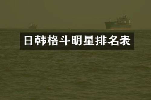 日韩格斗明星排名表