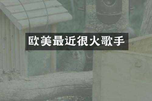 欧美最近很火歌手