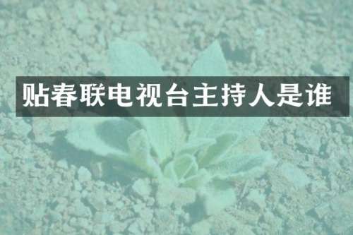 贴春联电视台主持人是谁