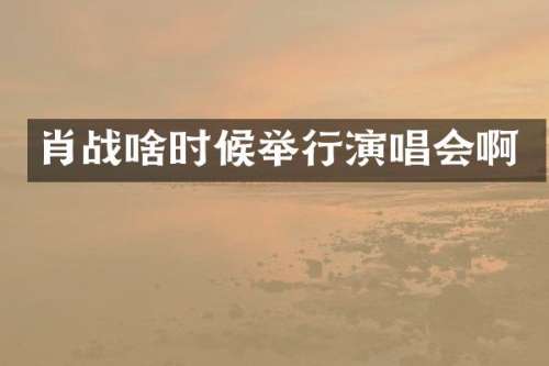 肖战啥时候举行演唱会啊