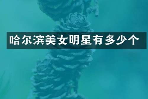 哈尔滨明星有多少个