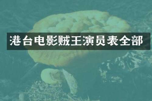 港台电影贼王演员表全部