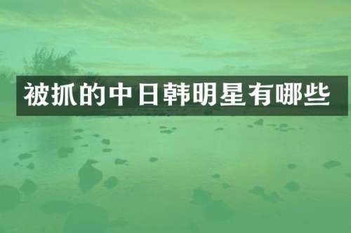 被抓的中日韩明星有哪些