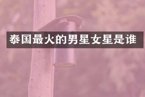 泰国最火的男星女星是谁