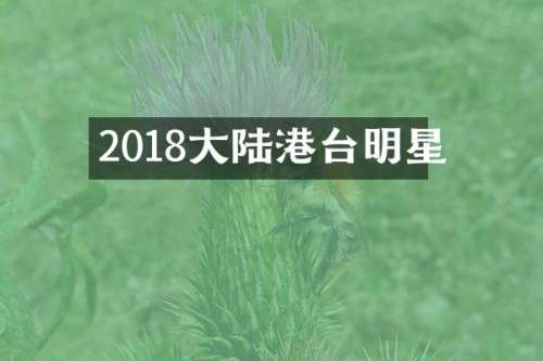 2018大陆港台明星