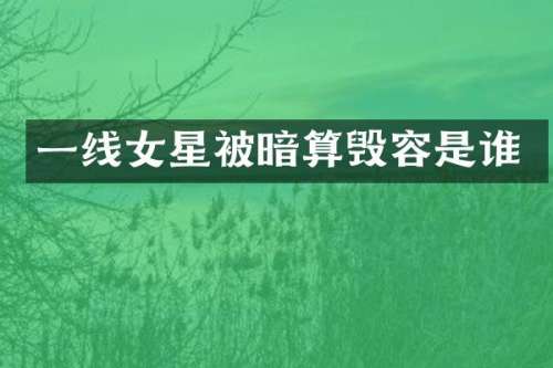 一线女星被暗算毁容是谁