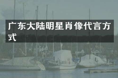 广东大陆明星肖像代言方式
