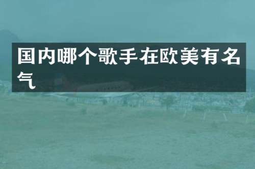 国内哪个歌手在欧美有名气