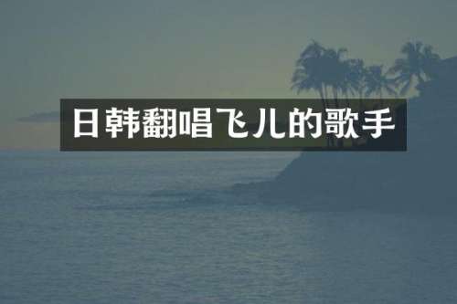 日韩翻唱飞儿的歌手