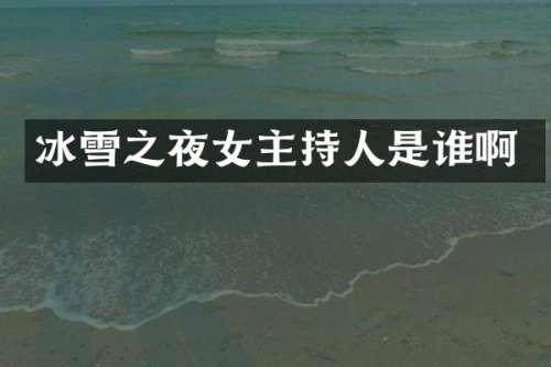 冰雪之夜女主持人是谁啊