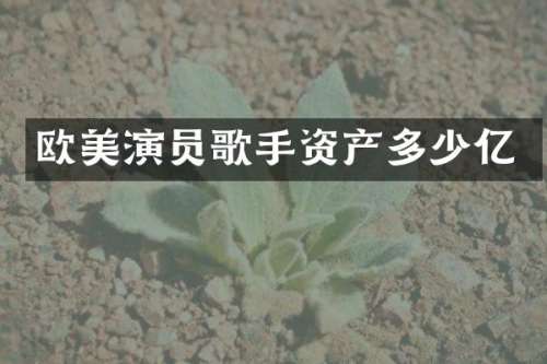 欧美演员歌手资产多少亿