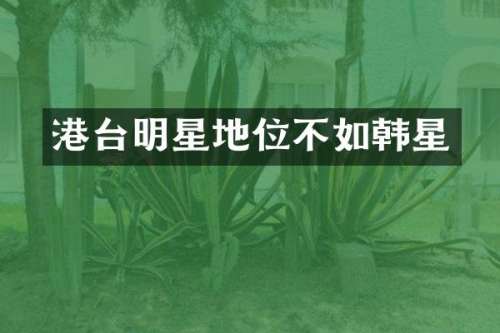 港台明星地位不如韩星