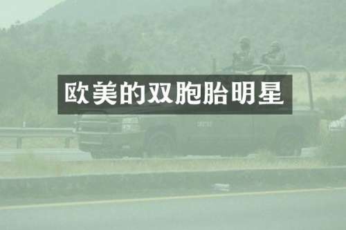 欧美的双胞胎明星
