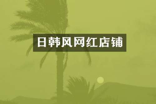 日韩风网红店铺