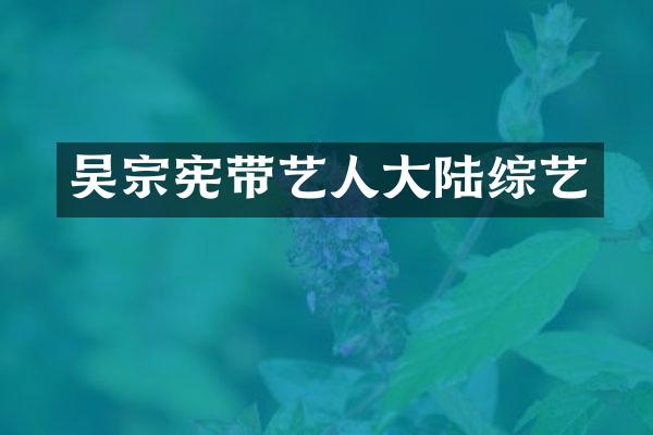 吴宗宪带艺人大陆综艺