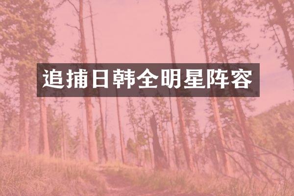 追捕日韩全明星阵容