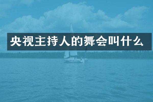 央视主持人的舞会叫什么