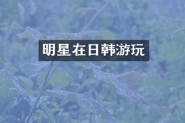 明星在日韩游玩