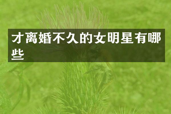 才离婚不久的女明星有哪些