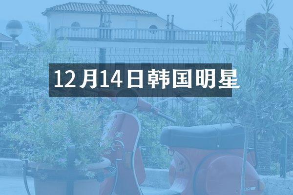 12月14日韩国明星