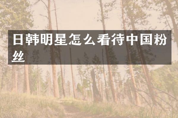 日韩明星怎么看待中国粉丝