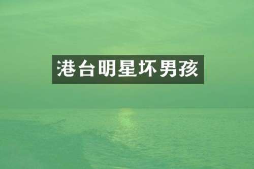 港台明星坏男孩