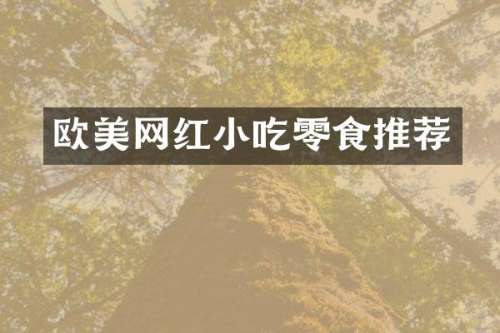 欧美网红小吃零食推荐