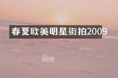 春夏欧美明星街拍2009