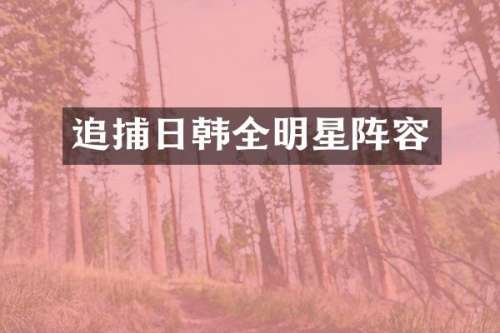 追捕日韩全明星阵容