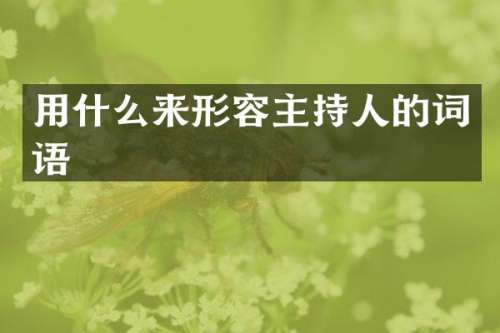 用什么来形容主持人的词语