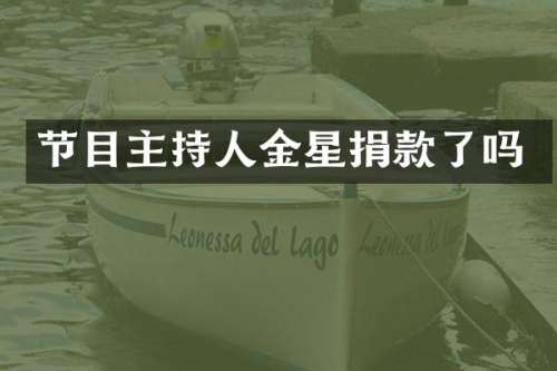 节目主持人金星捐款了吗