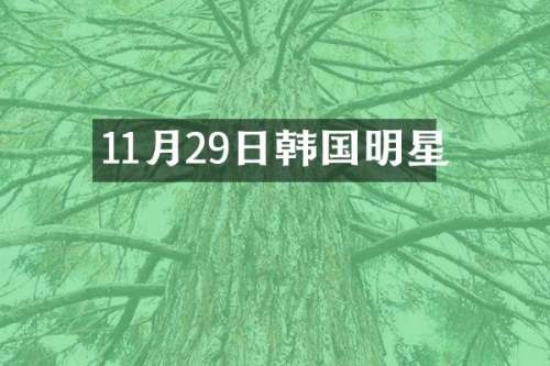 11月29日韩国明星