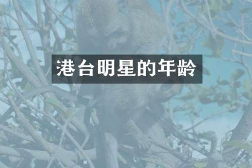 港台明星的年龄