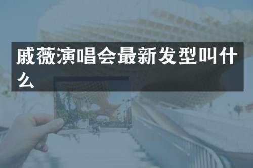 戚薇演唱会最新发型叫什么