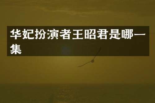 华妃扮演者王昭君是哪一集