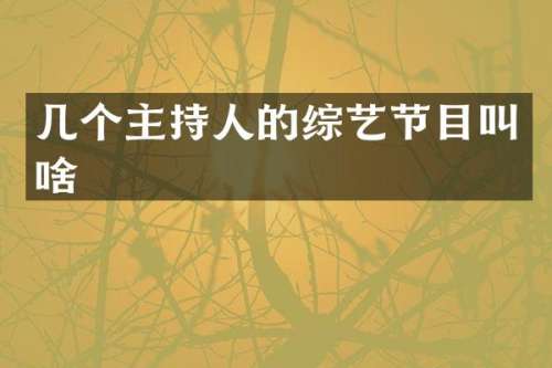 几个主持人的综艺节目叫啥