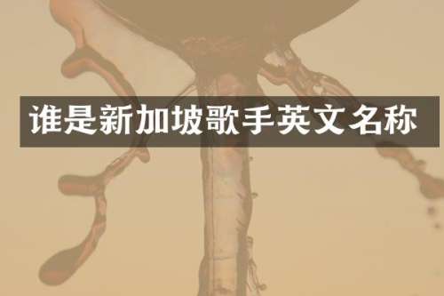 谁是新加坡歌手英文名称