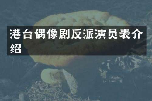 港台偶像剧反派演员表介绍