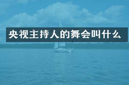 央视主持人的舞会叫什么