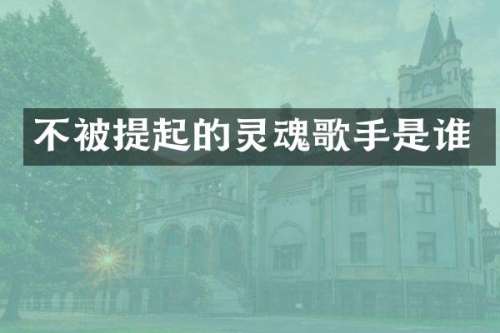 不被提起的灵魂歌手是谁